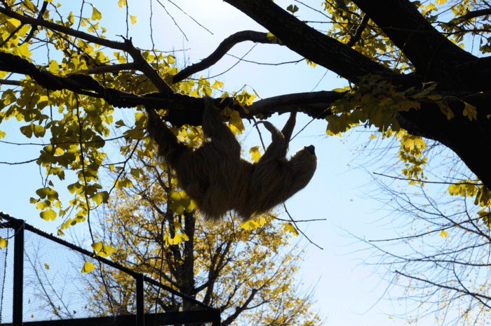 b0023856_16505833.gif