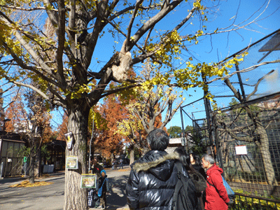 b0023856_16513920.gif