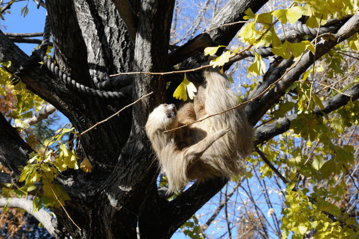 b0023856_16515615.gif