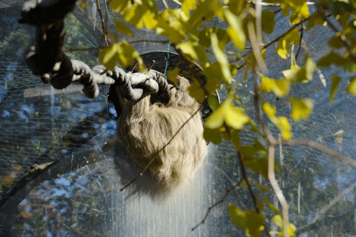 b0023856_16535851.gif