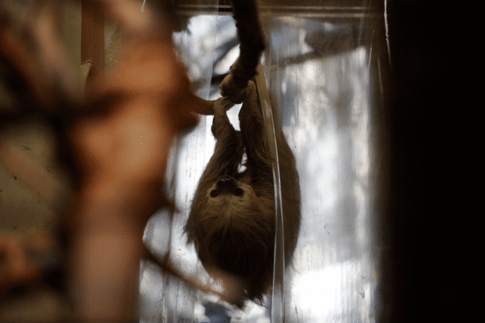 b0023856_16541938.gif