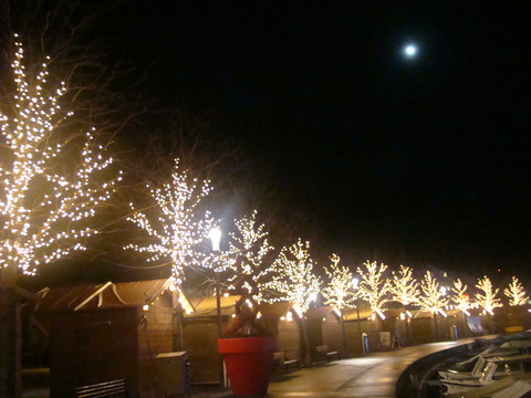 c0059063_620361.jpg
