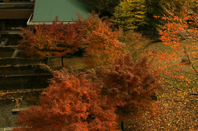 b0131167_1137093.jpg