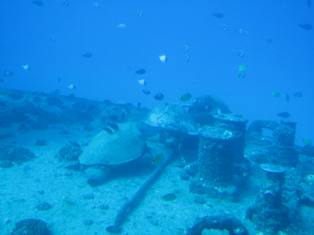 a0126871_936768.jpg