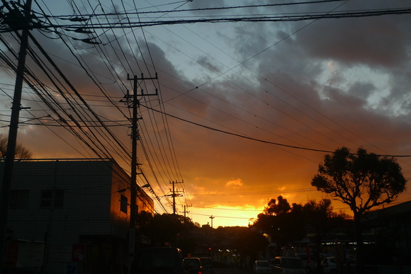 b0151371_2032233.jpg