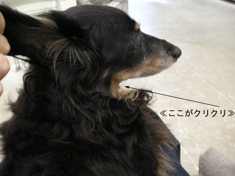b0249672_14144985.jpg