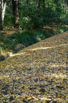 f0054677_8503316.jpg