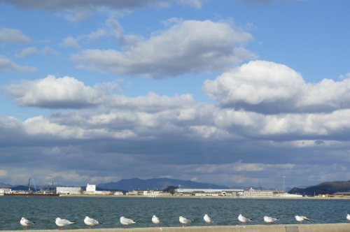 d0179983_19315139.jpg