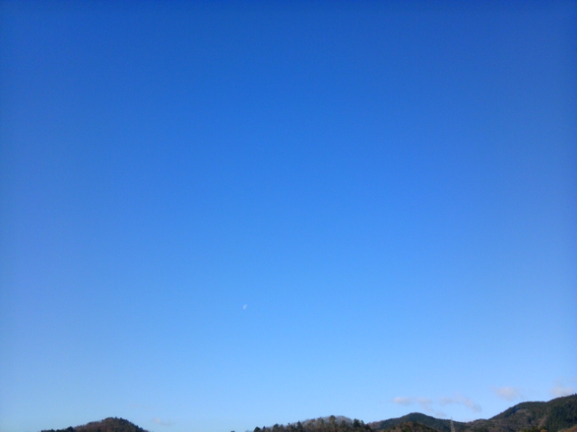 c0009287_1012691.jpg