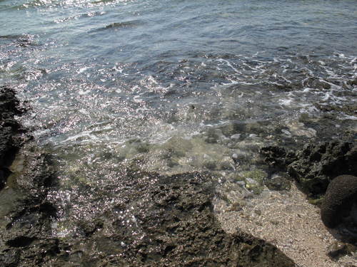 c0064389_1928021.jpg