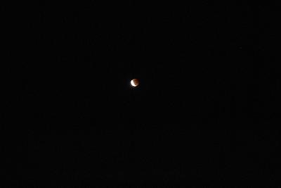 f0085495_22382413.jpg