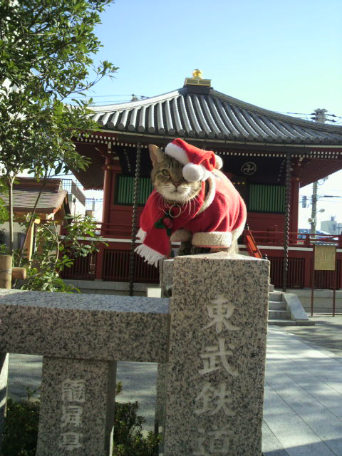 e0031605_21261629.jpg