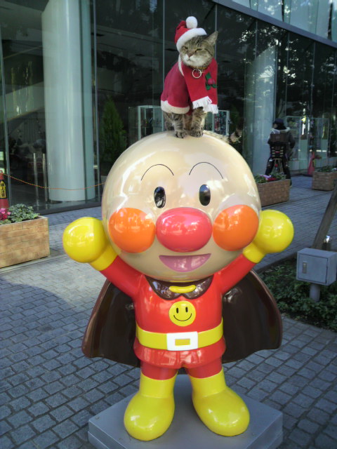 e0031605_21264382.jpg