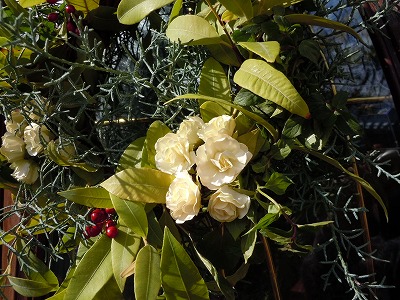 c0117007_21502768.jpg