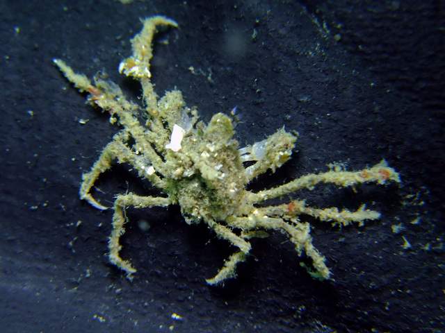 d0175710_220493.jpg