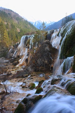 d0077811_13433813.jpg