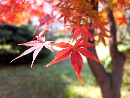 b0050920_23561771.jpg