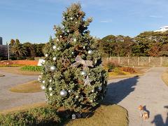 f0022024_17271042.jpg