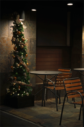 e0205625_15353537.gif
