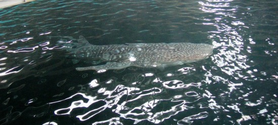 f0213825_13243356.jpg