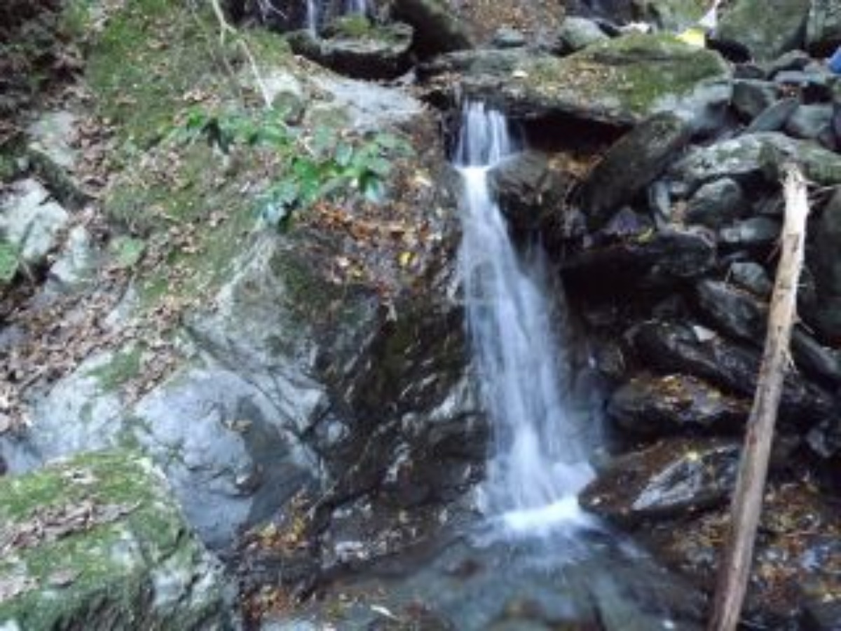 e0033229_2114165.jpg