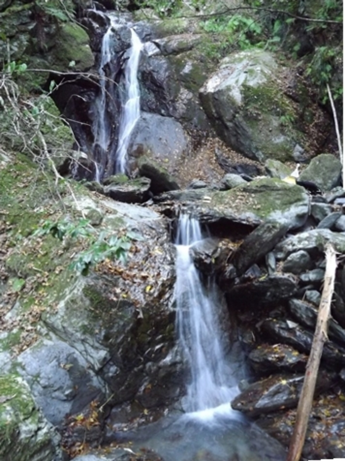 e0033229_21555040.jpg