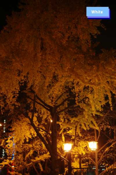 c0227134_1810443.jpg