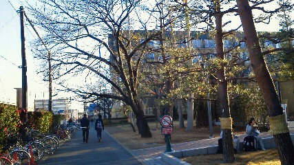 f0161834_2372290.jpg