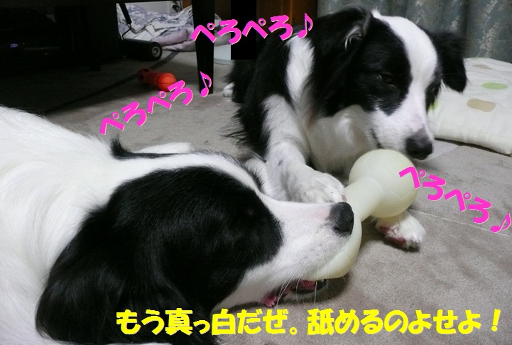 c0147241_21583615.jpg
