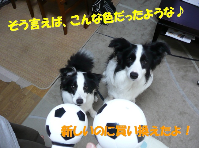 c0147241_2158419.jpg