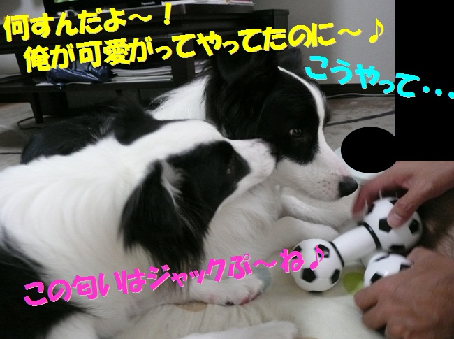 c0147241_21591649.jpg