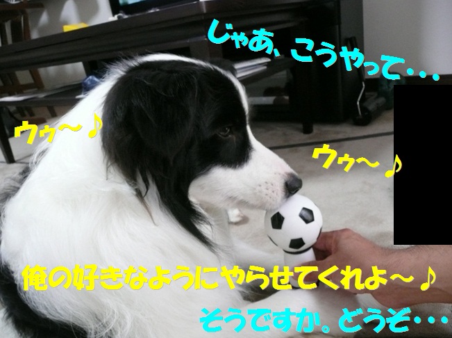 c0147241_21592120.jpg
