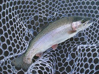 f0065341_101710100.jpg