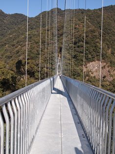 b0199742_11295377.jpg
