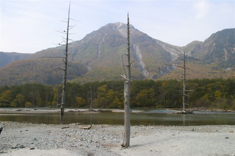 c0179844_559416.jpg