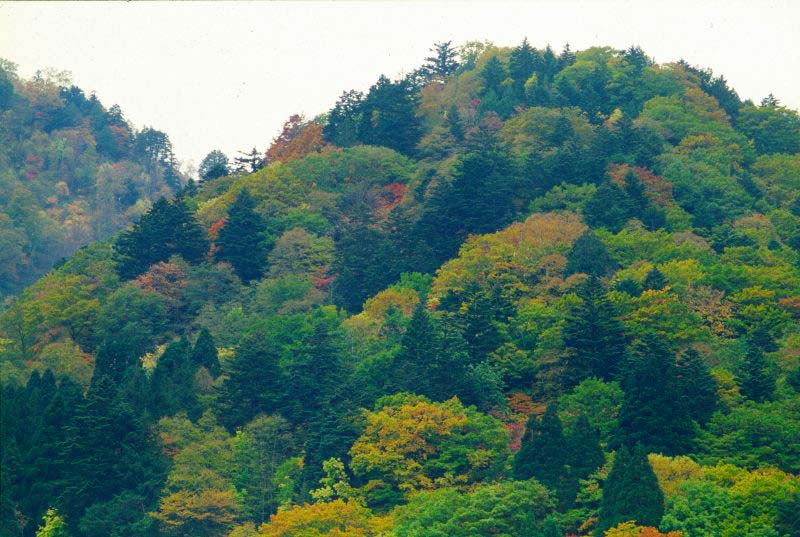c0179844_8303894.jpg