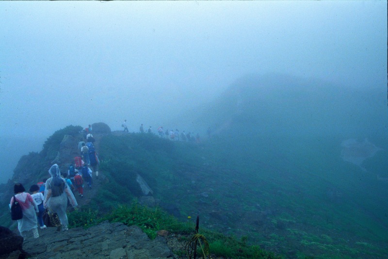 c0179844_8451994.jpg