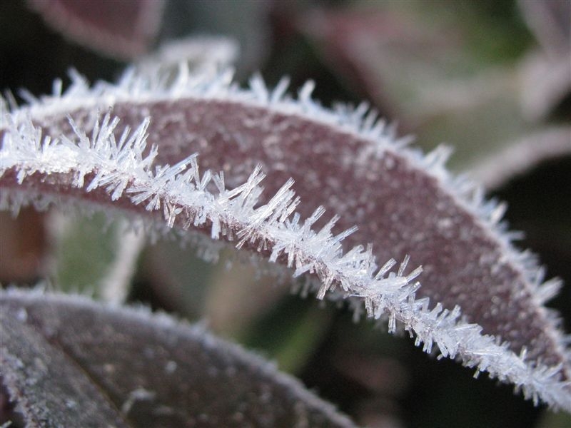 f0151044_16254116.jpg