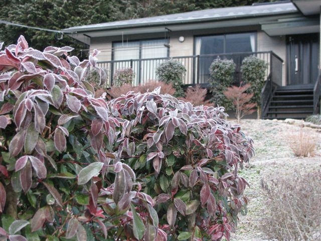 f0151044_16255824.jpg