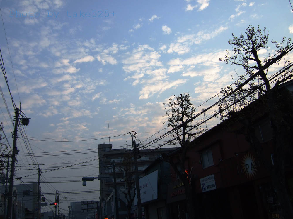 a0116946_22213657.jpg
