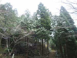 f0229250_20482740.jpg