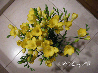 c0176651_15111922.gif