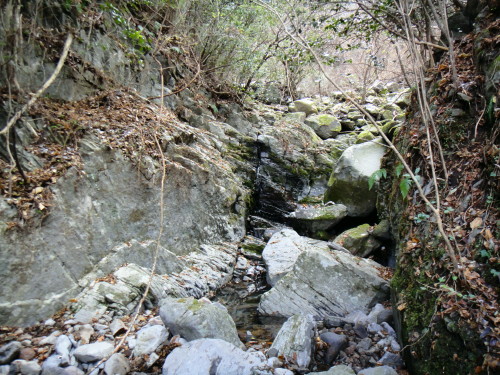 c0179351_21223798.jpg