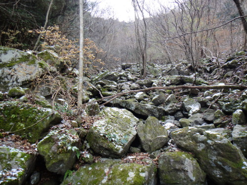 c0179351_21233148.jpg