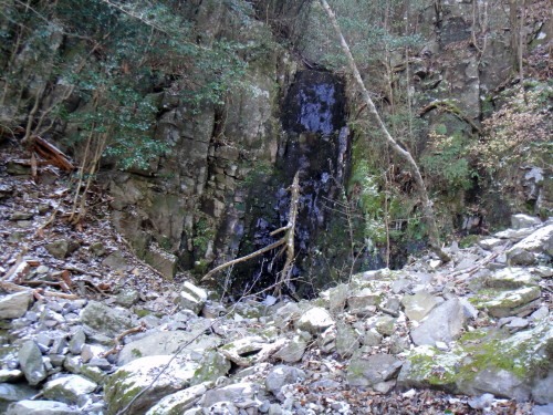 c0179351_2125494.jpg