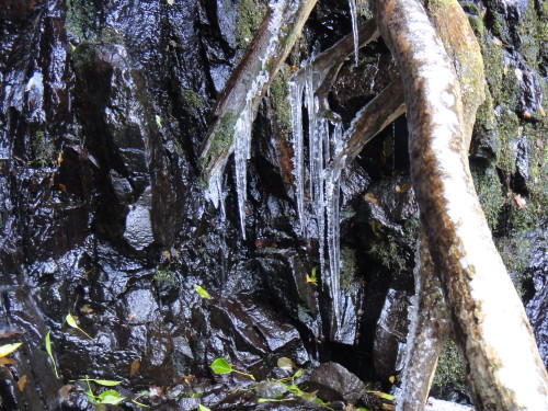 c0179351_21261943.jpg