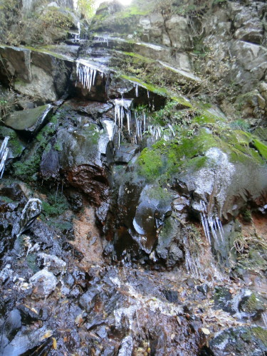 c0179351_21283864.jpg