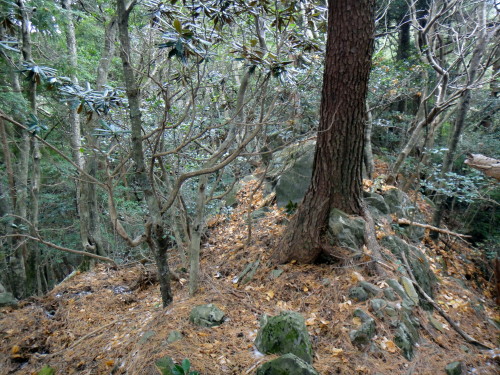 c0179351_21295873.jpg