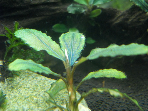 a0185255_2219815.jpg