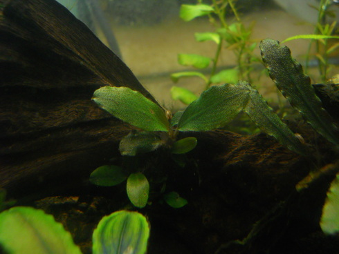 a0185255_22202446.jpg